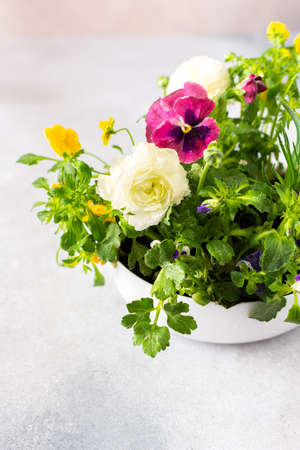 White round vase with spring and summer flowers Ranunculus and Muscari, Petunias and Pansies in the ground on a gray background, home decoration with flowersの写真素材
