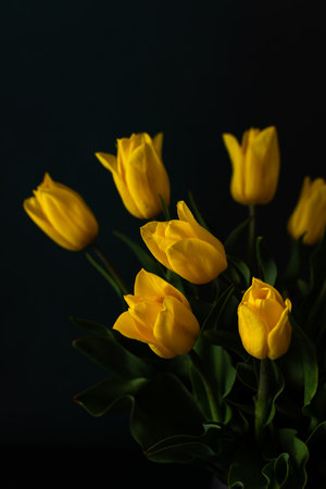 Beautiful spring bouquet of yellow tulips on a dark background, festive bouquet for birthday or holidayの写真素材