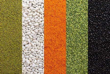 Different types of legumes, lentils and mung beans, green peas and white and black beans, top viewの写真素材