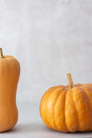 Brown pumpkins whole isolated close up on gray background, autumn harvest, fall backgroundの写真素材