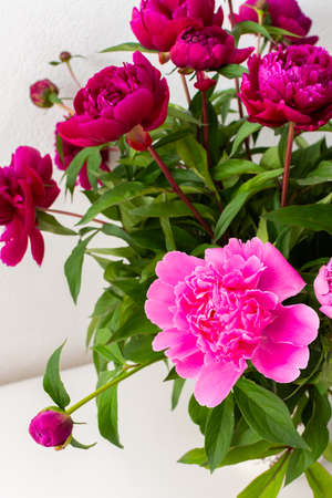 Peonies in a white vase against a white wall, part of a home interior, house decoration with flowers, cozy summer backgroundの写真素材