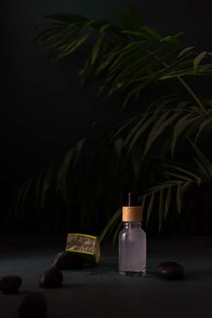Cosmetic bottle with a dropper and a cosmetic product with aloe, a dark background with green flowers and black sea stones, the concept of skin care and moisturizingの写真素材