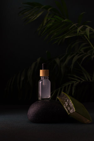 Cosmetic bottle with a dropper and a cosmetic product with aloe, a dark background with green flowers and black sea stones, the concept of skin care and moisturizingの写真素材