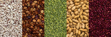 Different types of legumes banner, green peas and peanuts, red, white and brown beans, top viewの写真素材