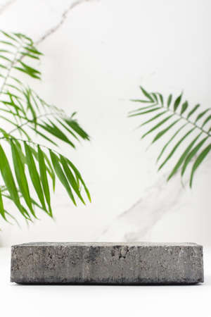 Concrete black podium for cosmetic products close-up among tropical leaves on the background of a marble white wallの写真素材