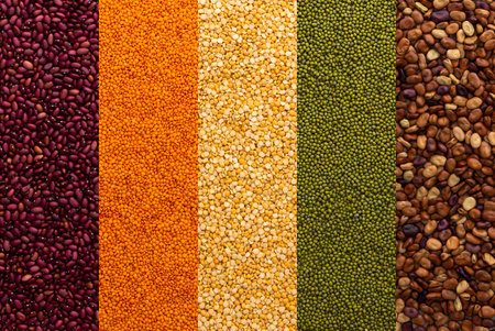 Different types of legumes, yellow peas and lentils and mung beans, red and brown beans, top viewの写真素材