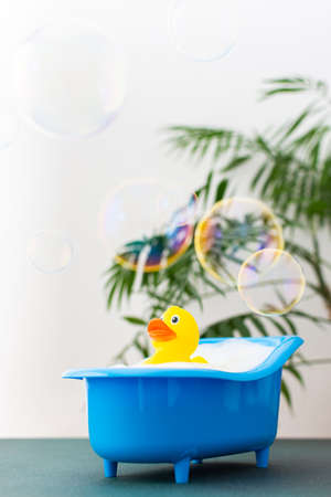Rubber yellow duck sits in a doll bath with soap suds, soap bubbles, childrens spa and hygiene concept, childrens bathing accessoriesの写真素材