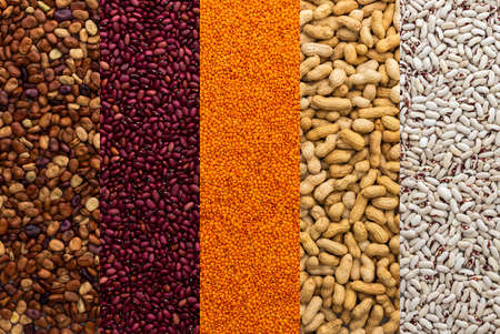 Different types of legumes, peanuts and lentils, red, white and brown beans, top viewの写真素材