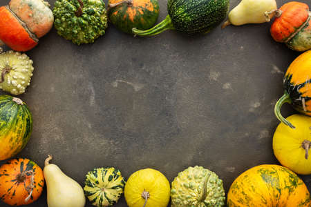 Decorative and edible pumpkins on a green background, top view, autumn background, copy spaceの写真素材