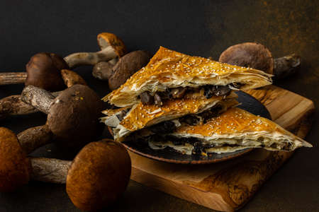 Pie with wild forest mushrooms boletus, phyllo pastry pie with aspen mushroomsの写真素材