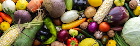 Background with fresh autumn vegetables, organic healthy farm products banner, top viewの写真素材