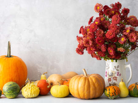 Beautiful bouquet of autumn chrysanthemum flowers in a vase and various colorful pumpkins on the table, Thanksgiving holiday, autumn home decorationの写真素材