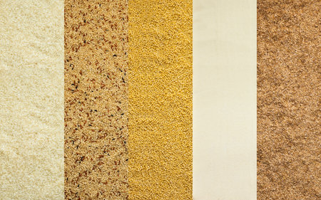 Various grain cereals banner, top view, white and brown rice, couscous and pearl barley, wheat gritsの写真素材