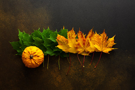 Autumn background with maple leaves and pumpkin, green to yellow gradient, the transition from summer to fall, the change of natural seasons, Thanksgiving Dayの写真素材