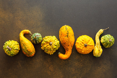 Autumn background with pumpkins, the transition from summer to fall, the change of natural seasons, Thanksgiving Day, copy space, top viewの写真素材