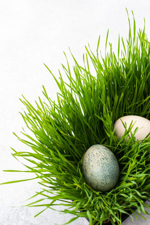 Colorful Easter eggs in the grass, searching for eggs on Easter day, top view, copy space