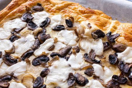 Yeast dough pie with fried Champignon mushrooms, onions and cheese mozzarellaの写真素材