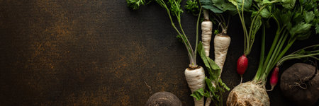 Parsley and selera roots with tops, black and red radish close-up on a brown background, top view, healthy autumn seasonal roots banner, copy spaceの写真素材