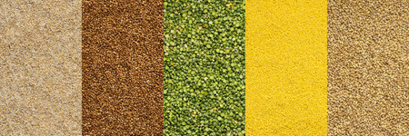 Various grain cereals banner, top view, barley grits and brown buckwheat, green peas and corn grits, pearl barleyの写真素材