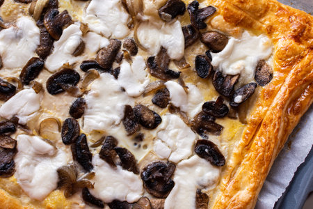 Yeast dough pie with fried Champignon mushrooms, onions and cheese mozzarellaの写真素材