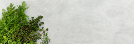 Thyme and rosemary, cilantro and parsley, dill, different types of green herb spices banner, top view, copy spaceの写真素材