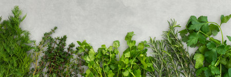 Thyme and rosemary, cilantro and parsley, dill, different types of green herb spices banner, top view, copy spaceの写真素材