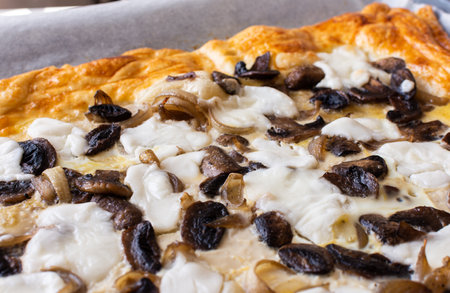Yeast dough pie with fried Champignon mushrooms, onions and cheese mozzarellaの写真素材
