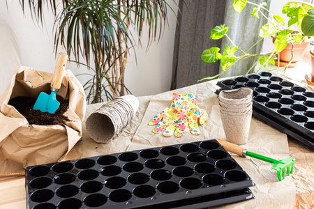 The process of planting tomato seeds in plastic forms and peat eco friendly forms, a bag of earth and garden trowel and rakes, preparation for sowing work in the garden, planting seedlings at homeの写真素材
