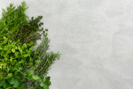 Thyme and rosemary, cilantro and parsley, dill, different types of green herb spices on a gray background, top view, copy spaceの写真素材