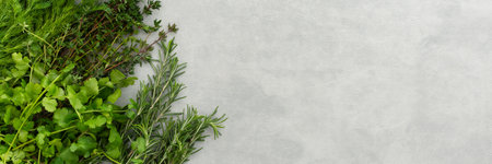 Thyme and rosemary, cilantro and parsley, dill, different types of green herb spices banner, top view, copy spaceの写真素材