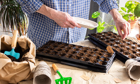 The process of planting tomato seeds in plastic forms and peat eco friendly forms, a bag of earth and trowel and rakes, preparation for sowing work in the garden, a man is planting seedlings at homeの写真素材
