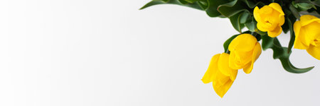 Beautiful spring bouquet of yellow tulips banner, top view of the bouquetの写真素材