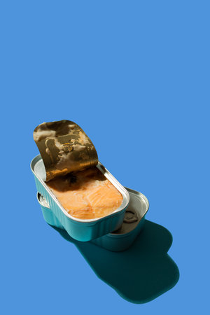 Open tin can with salmon on a purple background with hard shadows, the concept of red canned fish on the sea or in the oceanの写真素材