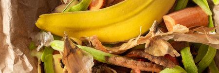 Food organic waste on eco friendly parchment paper, fruit and vegetable peel, garbage sorting and recycling bannerの写真素材