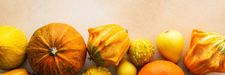 Fall season, background of different pumpkins, fall harvest, banner