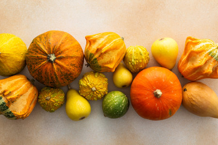 Fall season, background of different pumpkins, fall harvestの写真素材