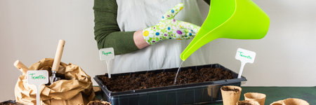 Woman planting tomato and pepper seeds on seedlings at home and waters the seedlings, wooden table with peat eco friendly pots and plastic containers for seedlings, preparing for spring work in the garden, bannerの写真素材
