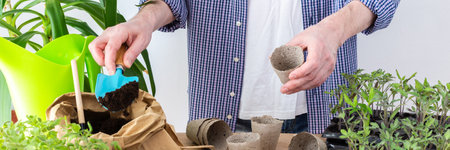 Pricking out, a man transplants young tomato and pepper seedlings into eco pots, transplanting seedlings from plastic containers into peat pots, preparing for spring planting in the ground, bannerの写真素材