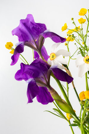 Home interior with a bouquet of spring flowers, irises and yellow ranunculus with white daffodilsの写真素材