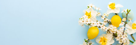 Festive banner with spring flowers and Easter eggs, white daffodils and cherry blossom branches on a blue pastel backgroundの写真素材
