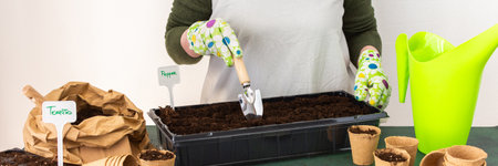 Woman planting tomato and pepper seeds on seedlings at home, wooden table with peat eco friendly pots and plastic containers for seedlings, preparing for spring work in the garden, bannerの写真素材