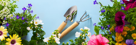 Spring decoration of a home balcony or terrace with flowers banner, Lobelia and Alyssum, Bacopa and Petunia, Geranium and Osteospermum on a blue background, home gardening and hobbiesの写真素材