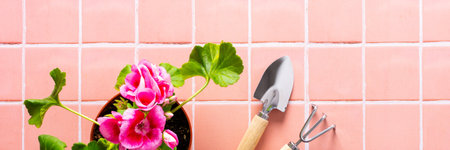 Spring decoration of a home balcony or terrace with flowers banner, pink geranium flower with spatula and rake on pink tile background, home gardening and hobbies, biophilic designの写真素材