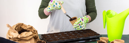 Woman planting tomato and pepper seeds on seedlings at home, wooden table with peat eco friendly pots and plastic containers for seedlings, preparing for spring work in the garden, bannerの写真素材