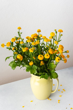Home interior, Ranunculus flowers in a vase on the table, spring flowers buttercupの写真素材