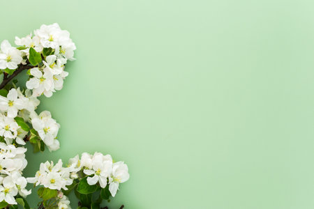 Spring background, blossoming tree branches on a green background, copy spaceの写真素材