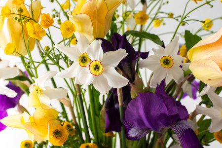 Home interior with a bouquet of spring flowers, Irises and yellow ranunculus, yellow tulips with white daffodilsの写真素材