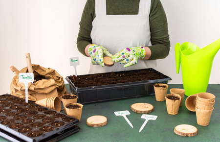 Woman planting tomato and pepper seeds on seedlings at home, wooden table with peat eco friendly pots and plastic containers for seedlings, preparing for spring work in the gardenの写真素材