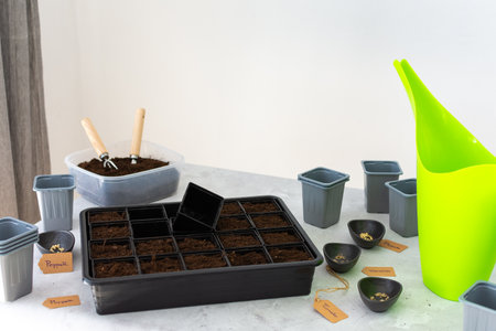 Preparation for spring work in the garden, planting tomato and pepper seeds on seedlings at home, table with plastic containers for seedlingsの写真素材