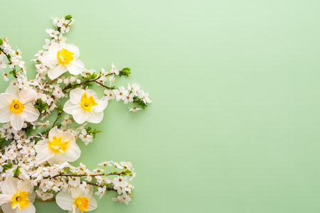 Festive background with spring flowers, white daffodils and flowering cherry branches on a light green pastel backgroundの写真素材